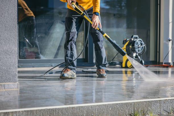 Best Solar Panel Cleaning  in Red Lick, TX